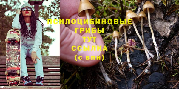 бошки Алексеевка