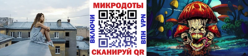 цены   Ахтубинск  Псилоцибиновые грибы Psilocybine cubensis 